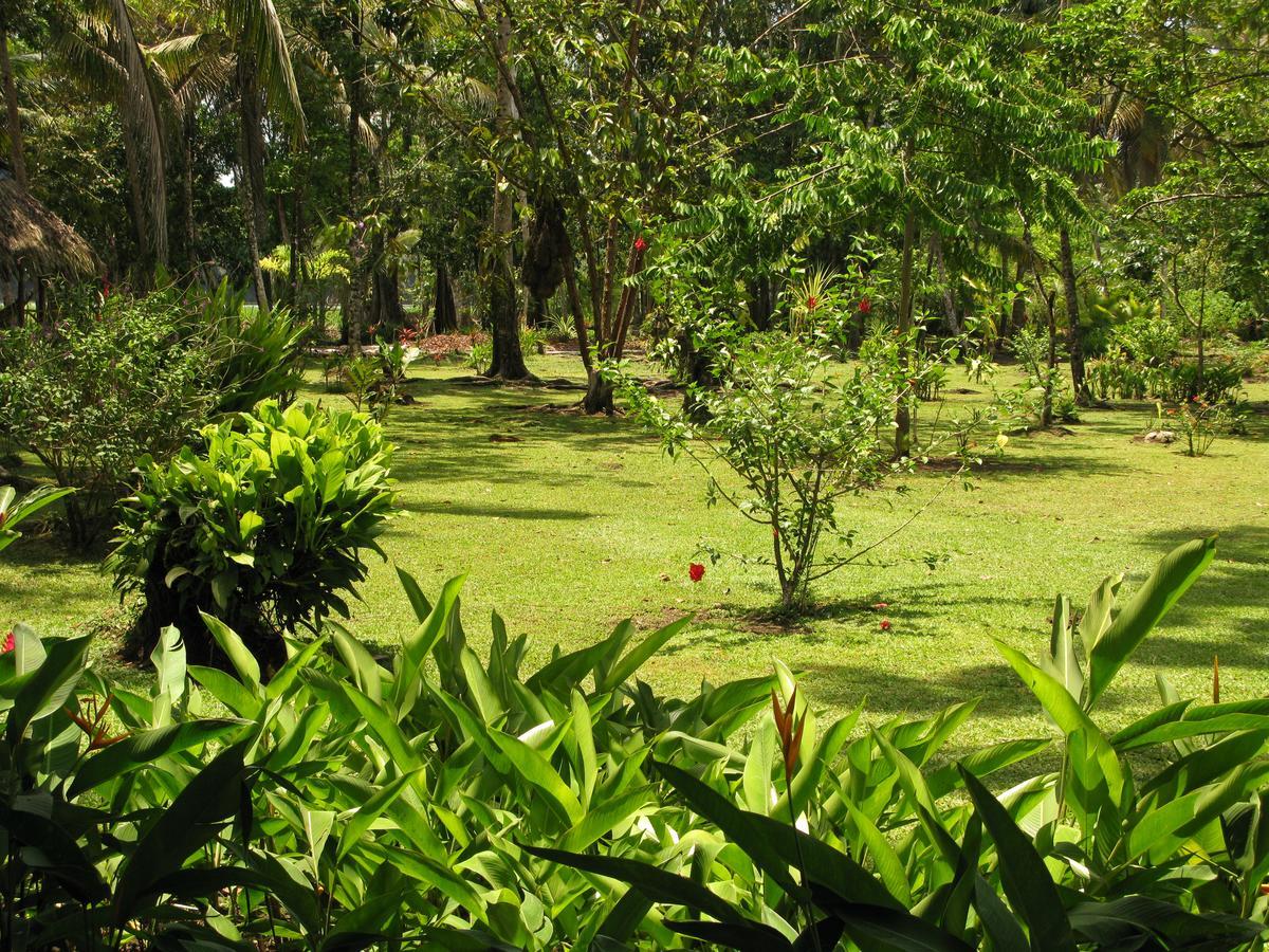Lirio Lodge Barra de Pacuare Exterior foto